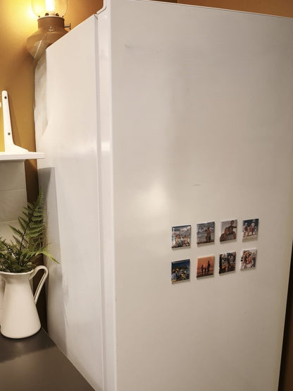 18 Magnets - Pack Grande Collection 🌟+livraison gratuite ! 🚚