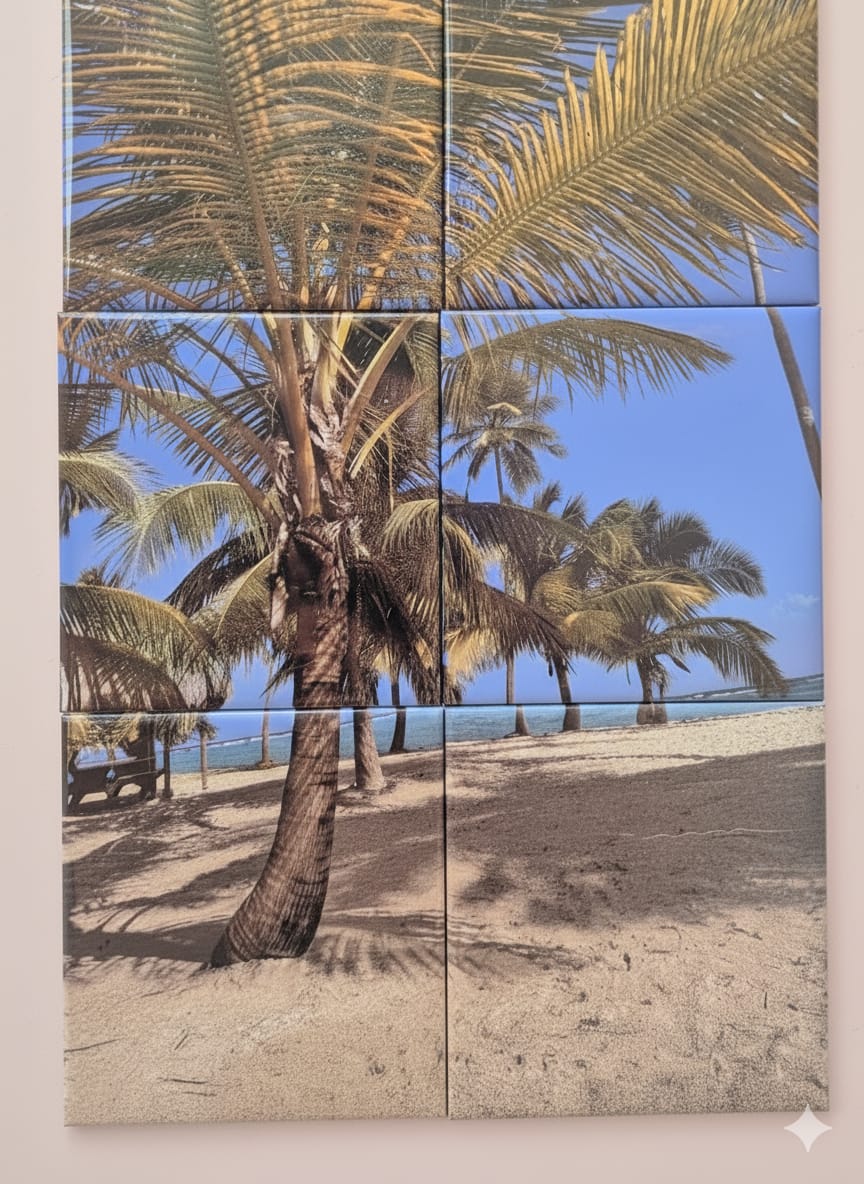 18 Magnets - Pack Grande Collection 🌟+livraison gratuite ! 🚚