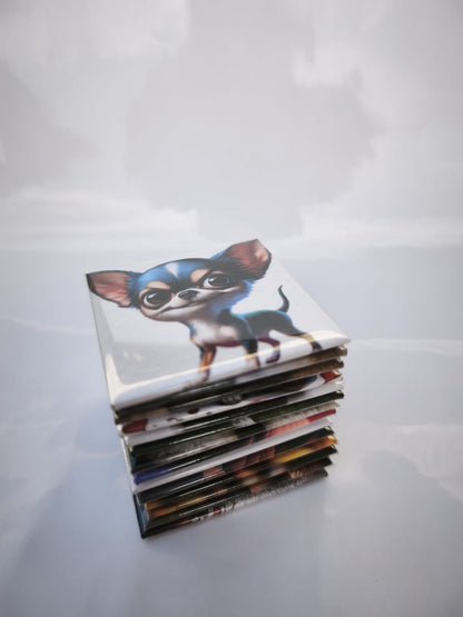 18 Magnets - Pack Grande Collection 🌟+livraison gratuite ! 🚚