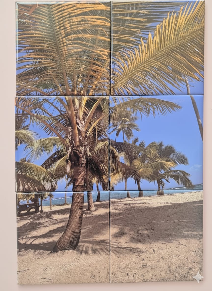 18 Magnets - Pack Grande Collection 🌟+livraison gratuite ! 🚚