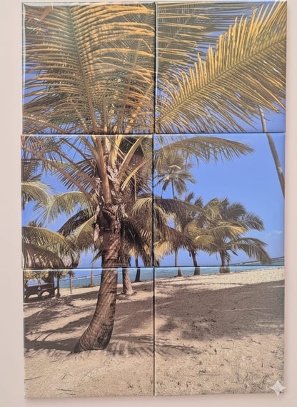 18 Magnets - Pack Grande Collection 🌟+livraison gratuite ! 🚚