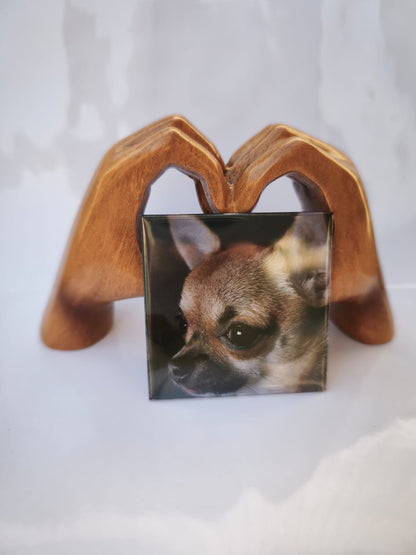 18 Magnets - Pack Grande Collection 🌟+livraison gratuite ! 🚚