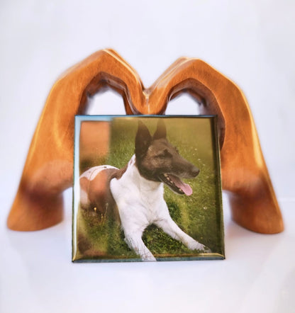 18 Magnets - Pack Grande Collection 🌟+livraison gratuite ! 🚚