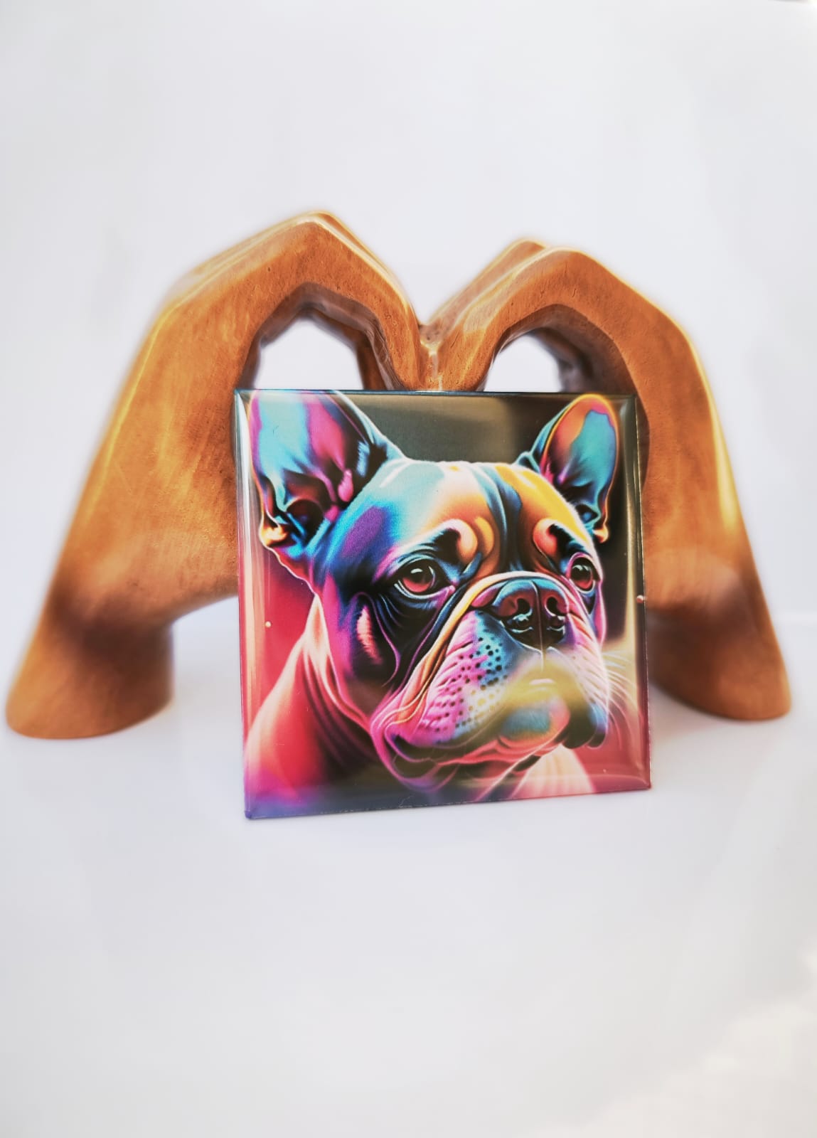 18 Magnets - Pack Grande Collection 🌟+livraison gratuite ! 🚚