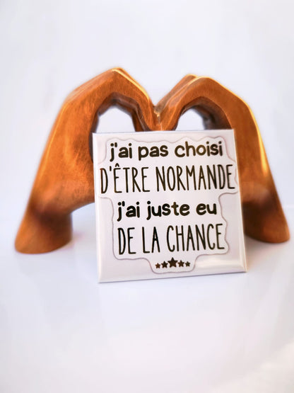 18 Magnets - Pack Grande Collection 🌟+livraison gratuite ! 🚚