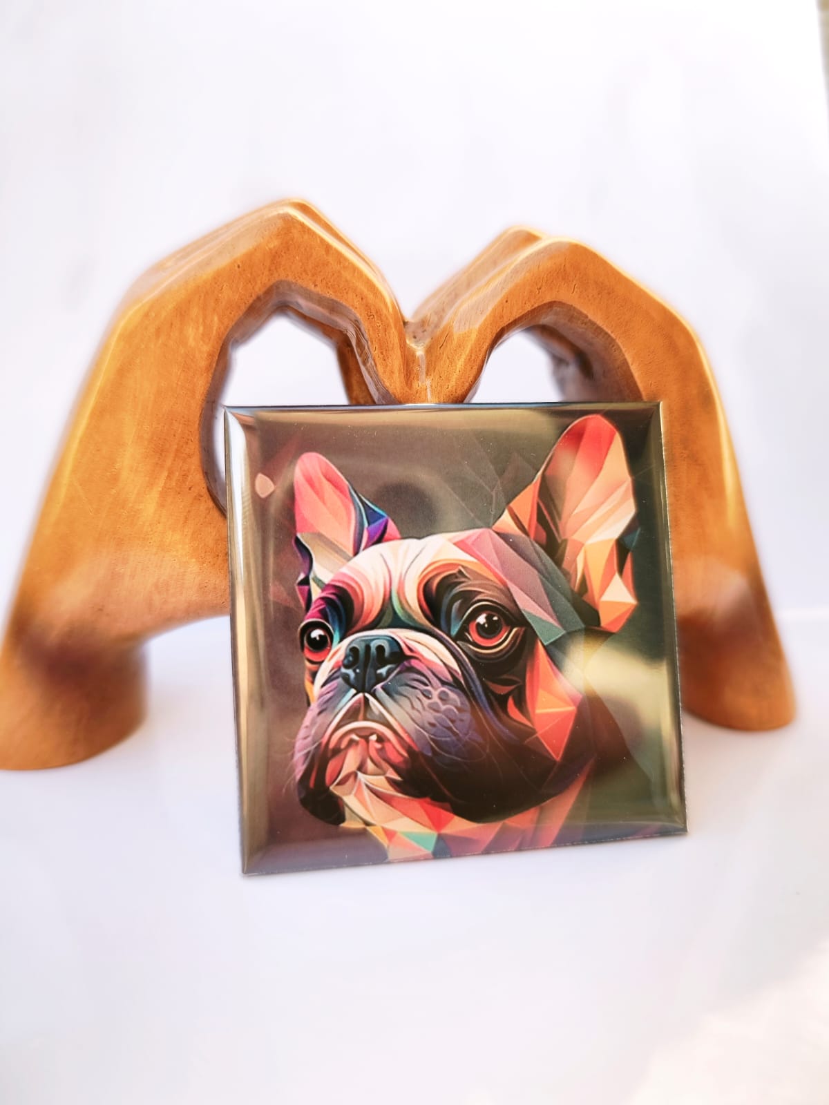 18 Magnets - Pack Grande Collection 🌟+livraison gratuite ! 🚚