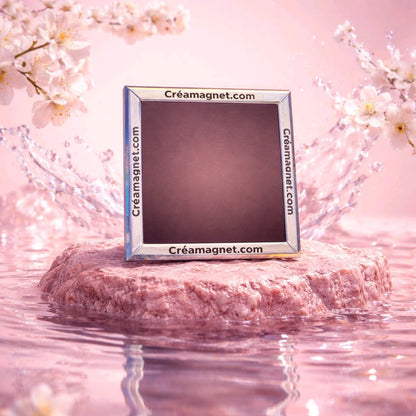 18 Magnets - Pack Grande Collection 🌟+livraison gratuite ! 🚚